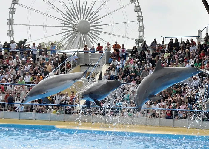 酒店 The Originals Boutique, Les Strelitzias 3*