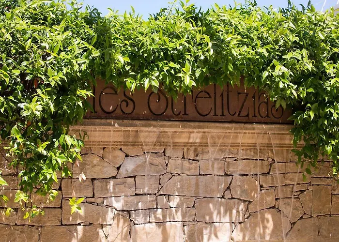 The Originals Boutique, Les Strelitzias 3* 胡安莱潘