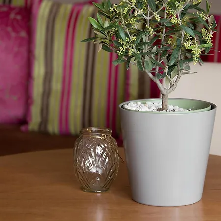 The Originals Boutique, Les Strélitzias Hotel 3*