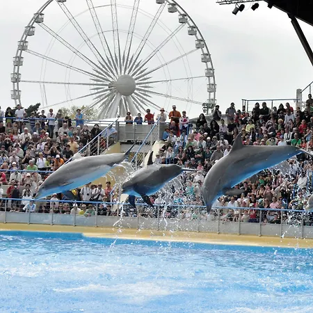 Hotel The Originals Boutique, Les Strelitzias 3*