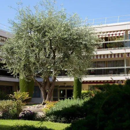 The Originals Boutique, Les Strélitzias