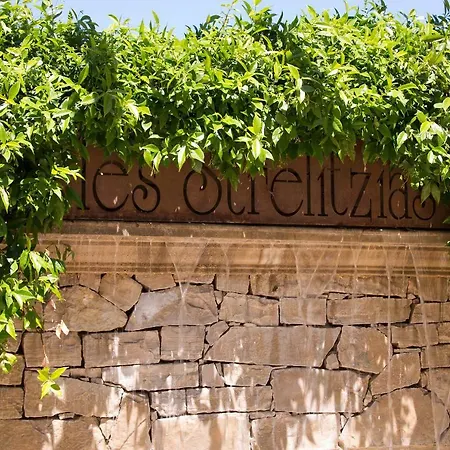 The Originals Boutique, Les Strelitzias 3* 胡安莱潘