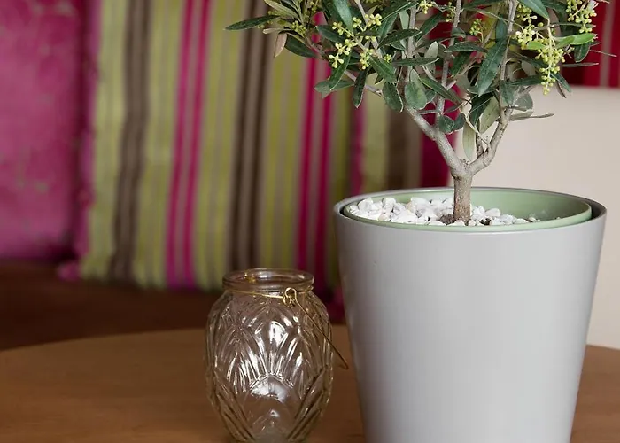 The Originals Boutique, Les Strelitzias 호텔 3*