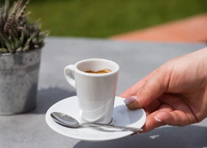 The Originals Boutique, Les Strelitzias 3* Juan-les-Pins