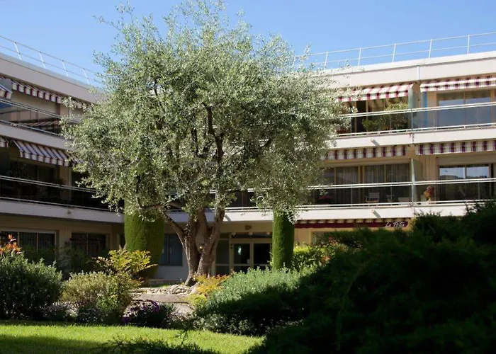 The Originals Boutique, Les Strélitzias